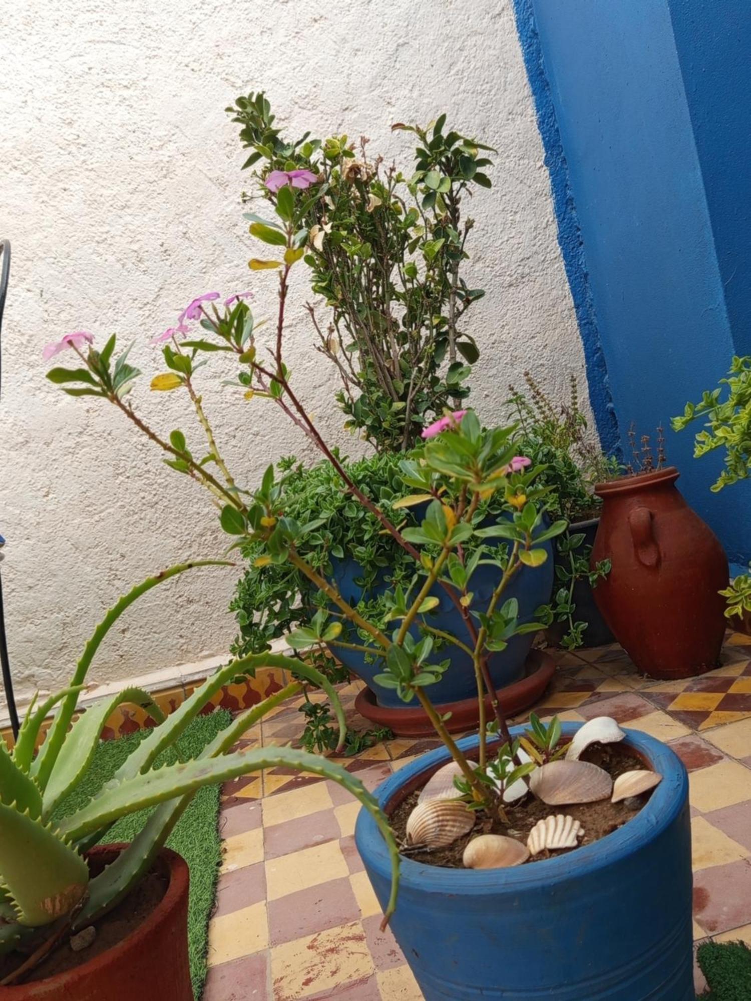 Riad Derb El Aarsa Marrakesh Ngoại thất bức ảnh